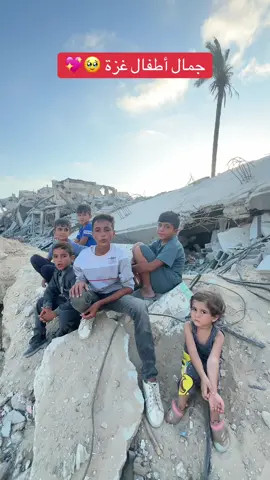 #غزة