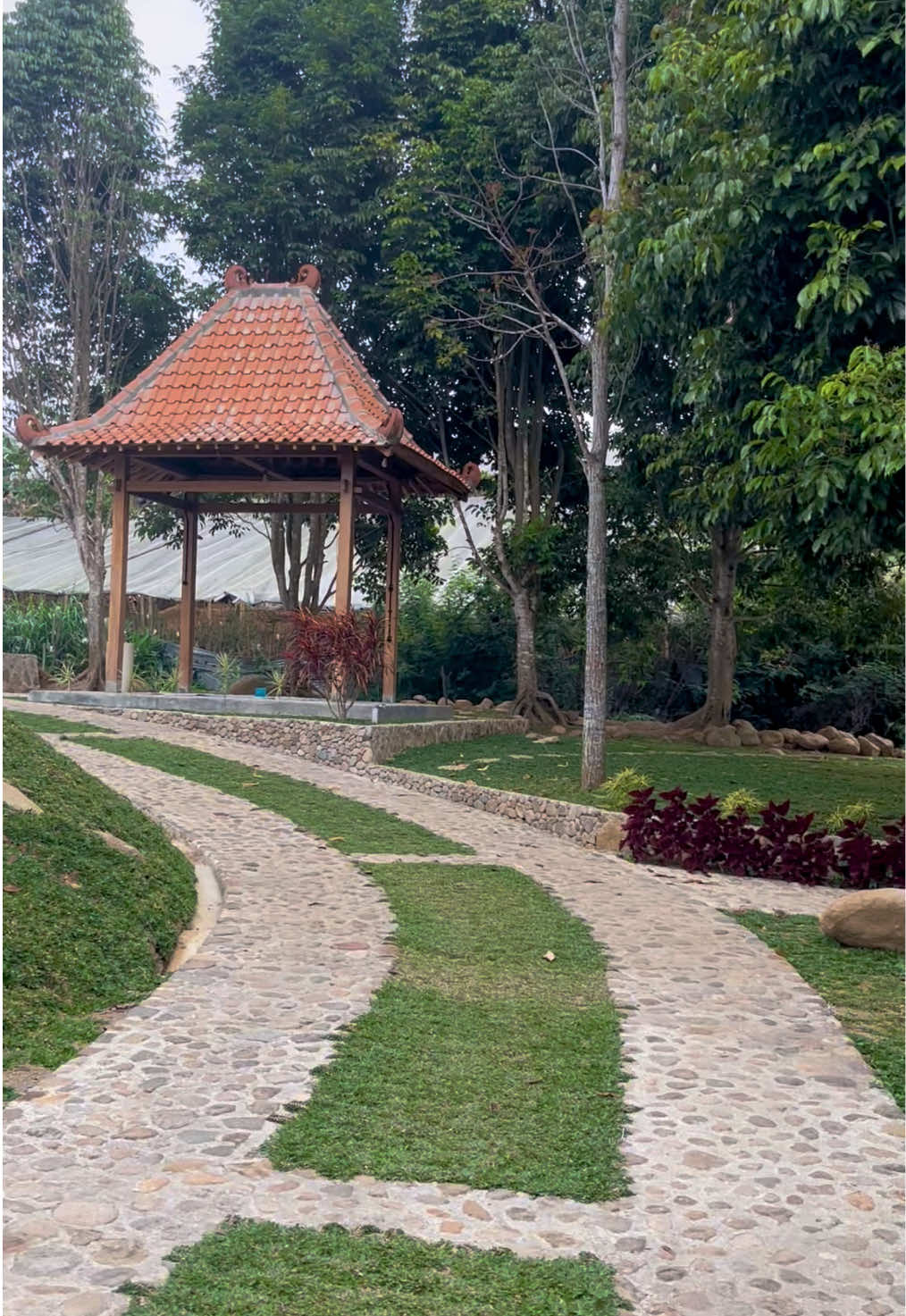Sudah pernah kesini belum? #jalanjalantraveling #wisatakaranganyar #karanganyarhitz #lembahpandan #karangpandan 