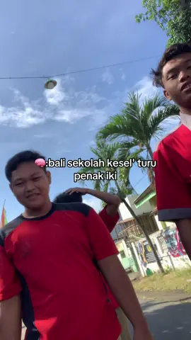 #peternakmuda #fyppppppppppppppppppppppp #kediri24jam 