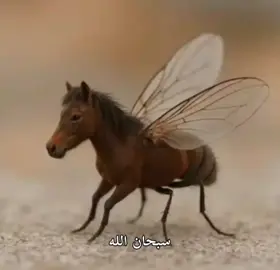 سبحان الله 🙀😞            #سبحان_الله #صور #حيوانات_غريبه #رياكشن #Like 
