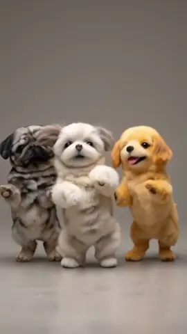 #perrosbailando #perritos #lapepocumbia #viral #perrosgraciosos 