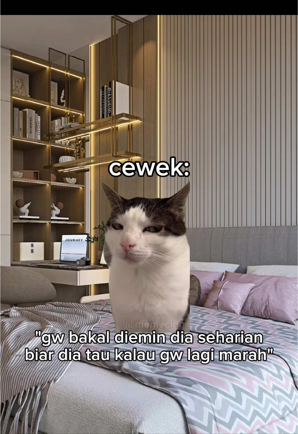 sungguh hari yg indah🤩 #meme #memekucing #kucing #kucinglucu #fyp 