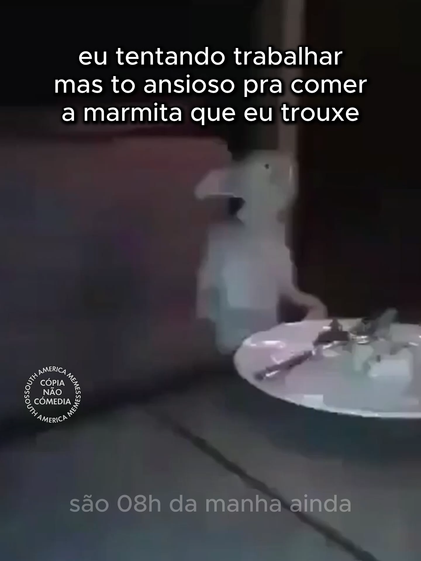 quando levo strogonoff pra almoçar #southamericamemes