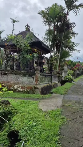 Desa wongayo bendul #alampedesaan #desaasri #desaindah #suasanadesa #desadibali 