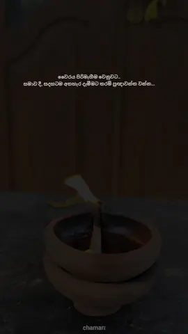🙂 #creatorsearchinsights #viral #foryou #foryoupage #chamaraathukorala 