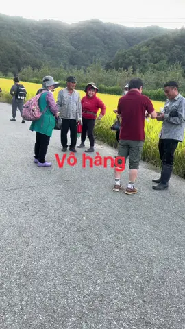 Kết thúc 1ngay khúc này là sướng nhất anh em nhỉ !#🇻🇳🇰🇷 #laodongthoivu #trendingtiktok #nangluongtichcuc💪🍀 ####vuivemoingay❤️ #cute ###