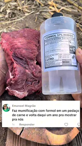 Mumificando um pedaço de carne por um ano será se vai da certo? #carne #formol #mumia #cleopatra #ciência 