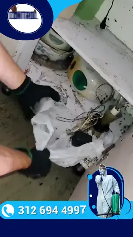 Adiós cucarachas, ratas y zancudos con @controldeplagasmedellin: la solución definitiva en Medellín ¿Cansado de compartir tu casa, negocio o finca con plagas? 😖 ¡Decile adiós de una vez por todas! En Medellín ya existe un equipo que está marcando la diferencia: Control de Plagas Medellín, la empresa paisa que elimina de raíz cucarachas, roedores, zancudos y todo tipo de plagas, con resultados efectivos y garantizados. 👉 Con una sola llamada, sus expertos llegan al rescate con técnicas modernas, productos certificados y atención inmediata. Nada de remedios caseros ni soluciones a medias: acá se trata de tranquilidad, limpieza y cero plagas. 📞 312 694 4997 📲 WhatsApp directo: wa.me/573126944997 🔗 Más info aquí: linktr.ee/Controldeplagasmedellin 📍 Cobertura total: Medellín, Bello, Itagüí, Envigado, Sabaneta y municipios cercanos. 🌟 Miles de familias y negocios ya disfrutan de espacios libres de plagas gracias a Control de Plagas Medellín. No esperes a que la plaga crezca. Tomá el control hoy con los verdaderos expertos.