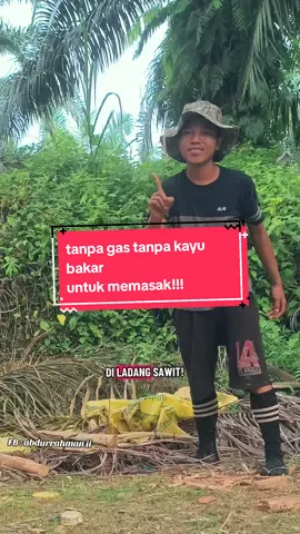 kompor menggunakan biji sawit kering, mudah sekali konsepnya...kunjungi dan follow FB ku link di bio. #sawit #brondolsawit #komporsawit #bijisawit #fyppppppppppppppppppppppp #kulisawit 
