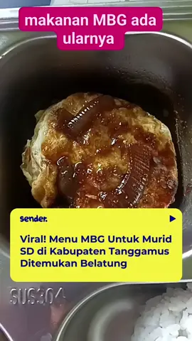 Sebuah video viral memperlihatkan adanya belatung di makanan Program Makan Bergizi Gratis (MBG) untuk murid SDN 1 Karang Agung, Kecamatan Semaka, Tanggamus, pada Rabu (24/9/2025). Belatung itu ditemukan pada telur ceplok dalam nampan makanan yang dikirim dari Satuan Pelayanan Pemenuhan Gizi (SPPG) Dapur Pekon Sudimoro. Dalam video, terdengar keluhan dari pihak sekolah mengenai buruknya kualitas makanan. Menilai makanan tersebut tidak layak konsumsi, sekolah segera menghentikan distribusi MBG demi melindungi murid.  Peristiwa ini pun menjadi perhatian publik sekaligus menambah catatan evaluasi terhadap pelaksanaan program MBG di sejumlah daerah.  📹fb/alaminlabis  #MBG #MakanBergiziGratis #Tanggamus #BeritaLampung #ViralLampung #SekolahDasar #MakananSehat #BeritaTerkini #UpdateLampung #Senderdotco