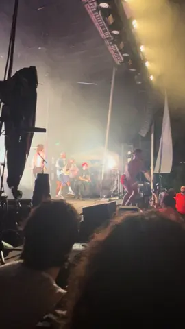 Turnstile birds at browns island in Richmond!!! Moments before they pepper sprayed everybody 