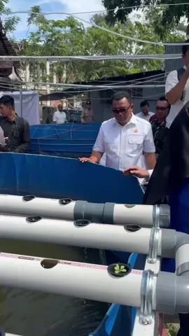 Pangan. * Jangan lupa gunakan hastag: #ZulkifliHasan #PidatoPrabowo #MenkoPangan #PartaiAmanatNasional #bantupanganbanturakyat  Konten KDMT Aceh: * Ngeliat Ubai nanem anggur di Aceh tuh vibesnya keren banget. Anak muda + desa = inovasi 🔥. Ternyata Kopdes Merah Putih tuh bukan sekadar kios, tapi ruang buat anak muda berkreasi. Respect! * Baru tau di Aceh ada Kopdes Merah Putih yang support anak muda nanem anggur 🍇. Gila sih, keren banget kalau tiap daerah bisa punya hal kayak gini. Desa jadi makin hidup, rakyat juga terbantu. * Sebagai warga Aceh, kami hidup dari pertanian & perikanan 🌾🐟. Hadirnya KDMP yang dorong inovasi pertanian di Geucheu bikin sektor pangan makin hidup. Terima kasih Pak Presiden, terima kasih Pak Menko Pangan 🙏 * Selain mendukung kreativitas warga, KDMP juga menyalurkan bantuan beras kepada jutaan masyarakat sesuai arahan Presiden Prabowo. Kopdes Merah Putih (KDMP) Syariah di Geucheu hadir bukan cuma jadi gerai sembako, tapi juga melahirkan inovasi baru di sektor pertanian. Salah satunya lewat Ubai, anak muda Aceh yang berani mengembangkan budidaya anggur. * Dari kampung kecil di Aceh, lahir inspirasi besar. Kopdes Merah Putih = pangan sampai, anak muda berkarya… bukti nyata desa bisa jadi motor perubahan. Makasih pak Presiden, makasih pak Menko Pangan.