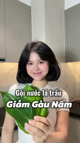 Dành cho da đầu bị gàu nấm 🍄‍🟫#tuechung #gàu  #nấmdađầu #haircare #lamdep