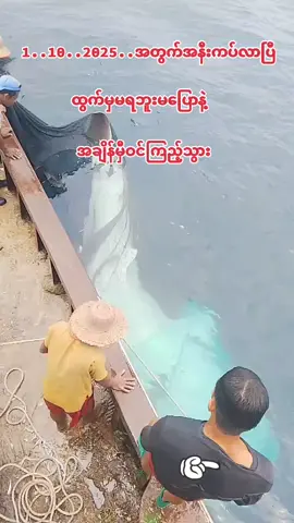 #ဆုံးအောင်ကြည်သွားပါ #နောက်ဆုံးကအသက် 