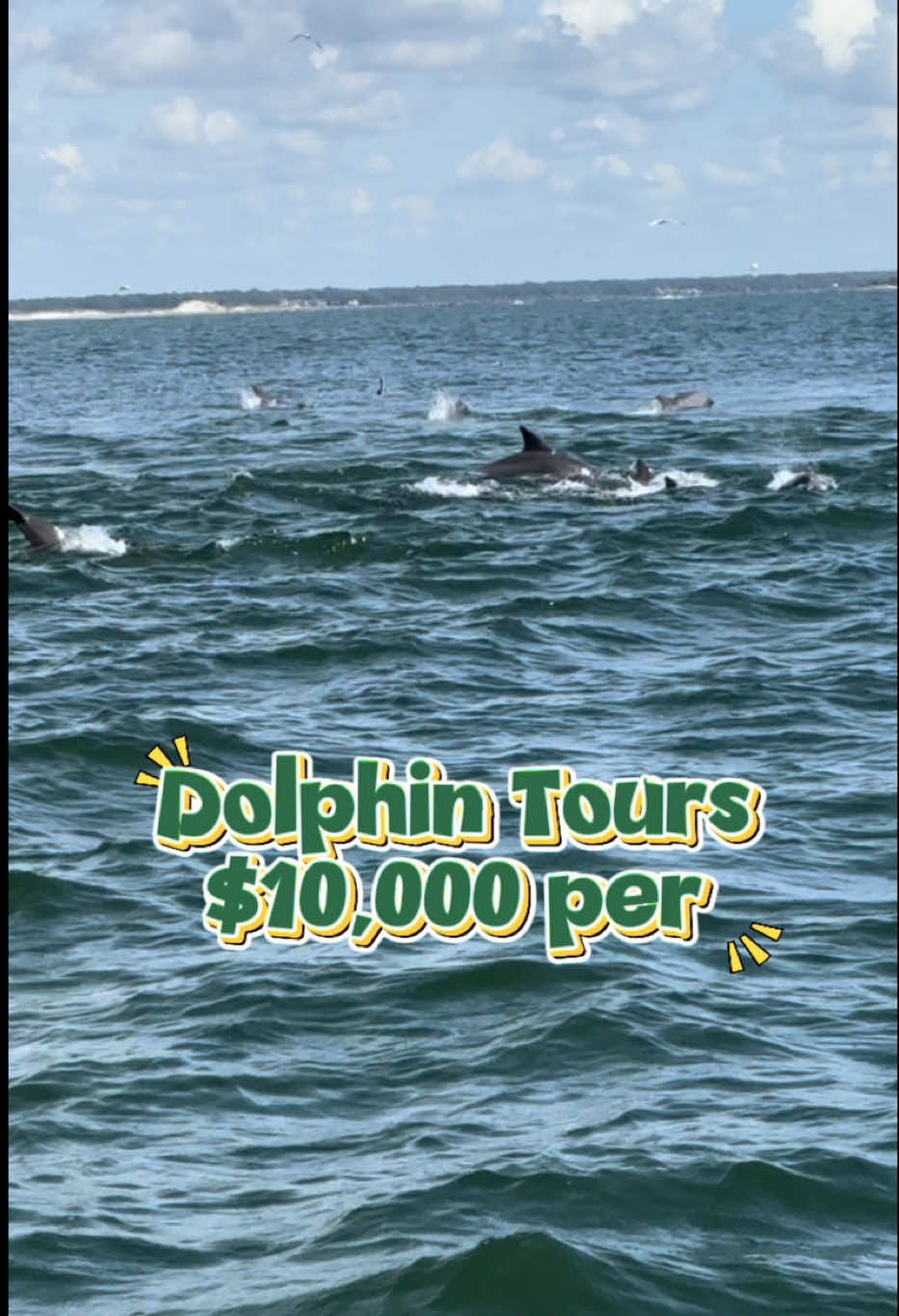 Keef & Jess Dolphin Tours 🐬 $10K… $11K with dinner. Or free if you just follow. 😉 #KeefAndJess #DolphinTours #BoatLife #myrtlebeach 