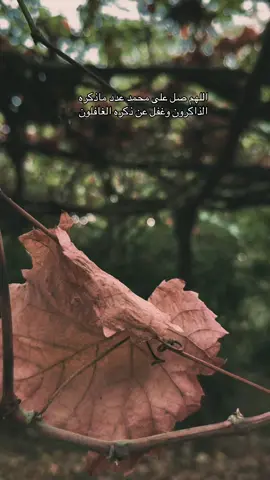 #اللهم_صل_وسلم_على_نبينا_محمد #سورة_الكهف_نور_بين_الجمعتين_الدعاء #تلاوه_خاشعه #سعود_الفايز 