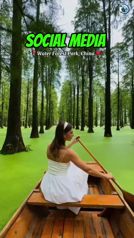 A Forest in Water! 🌳 #travel #reality #explore 