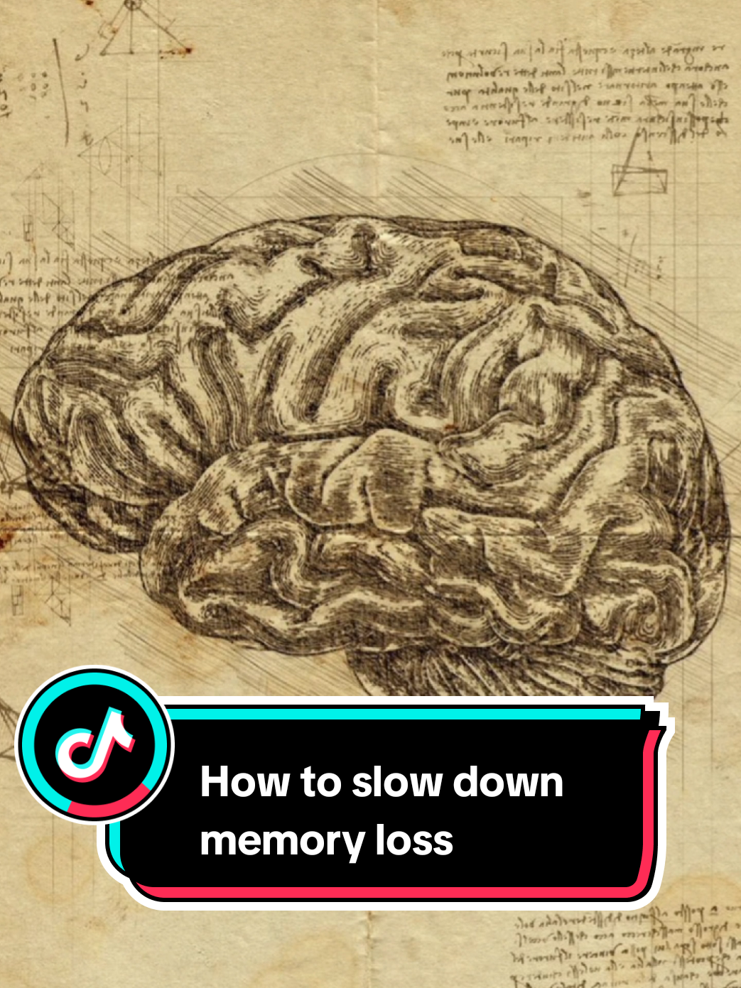 How to slow down memory loss #knowledgesharing #LearnOnTikTok #SelfImprovement #healthcare #healthylifestyle 