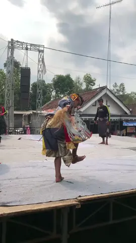 ngespepe🐗#kepungkediri #kediri24jam #fypviralシ #sekarputropandowo #celengsrenggi @Sekar Putro pandowo 