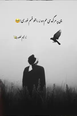چی پہ مرګ می حم دہ نہ راتلو قسم خوری😣🌸💔 #zalim_typist #growmyaccount #foryou #aesthetic #pashtopoetry 