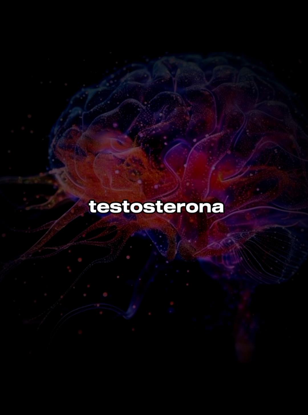 TESTOSTERONA CIENTÍFICAMENTE 🧠 #neurociencia #psicologia #cerebro #testosterona #fyp 
