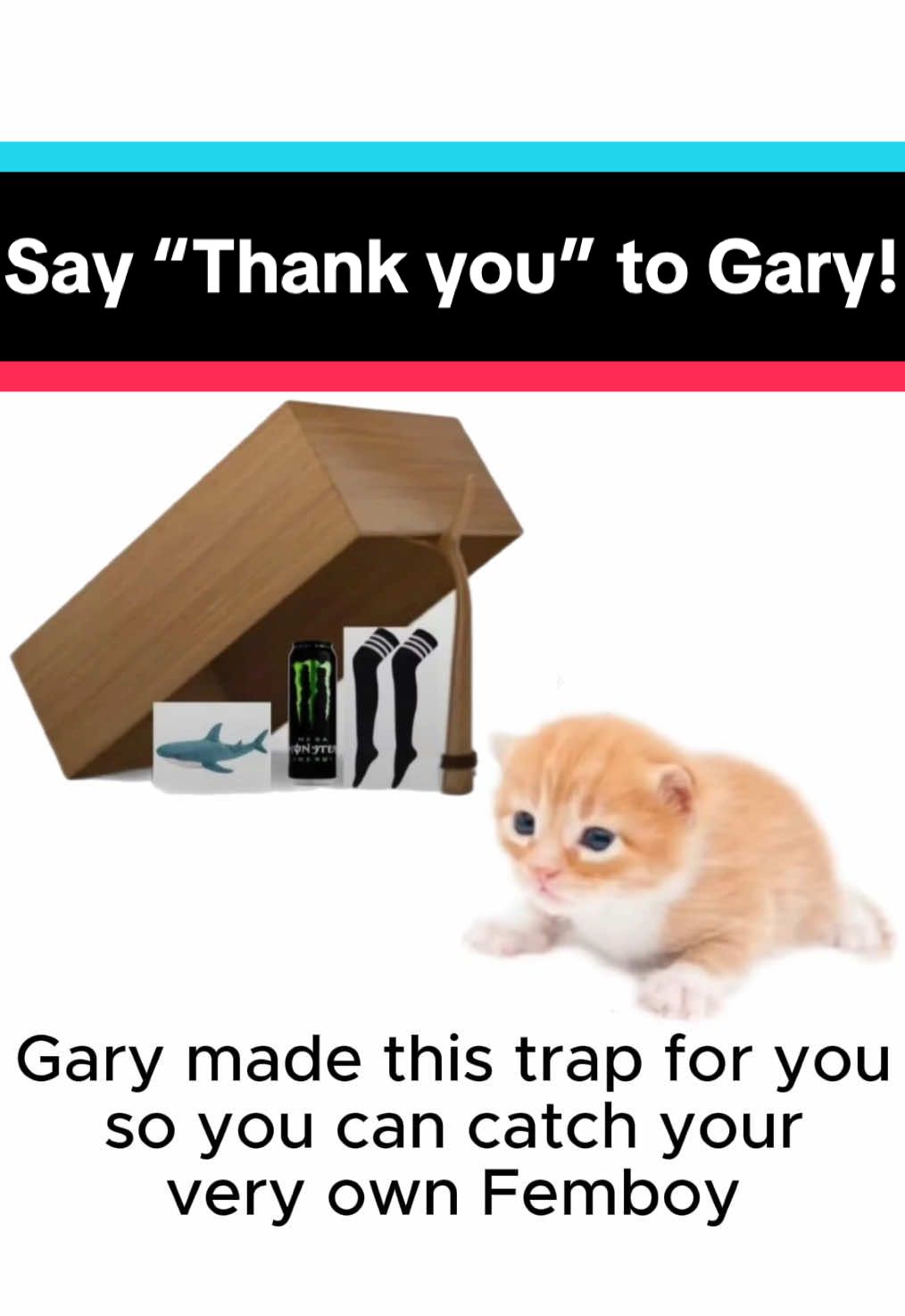 Say “Thank you Gary”!!! #femboy #vtuber #vrchat #furry #nekoa 