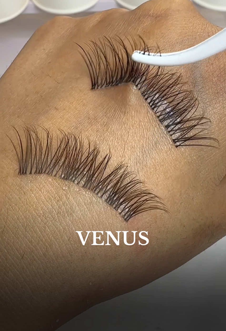 Black or brown? 🤔Super soft & long lasting 😍☝🏼☝🏼☝🏼#youlucklash #diylashextensions #tiktokshop #lashclusters #naturallashes #fyp 