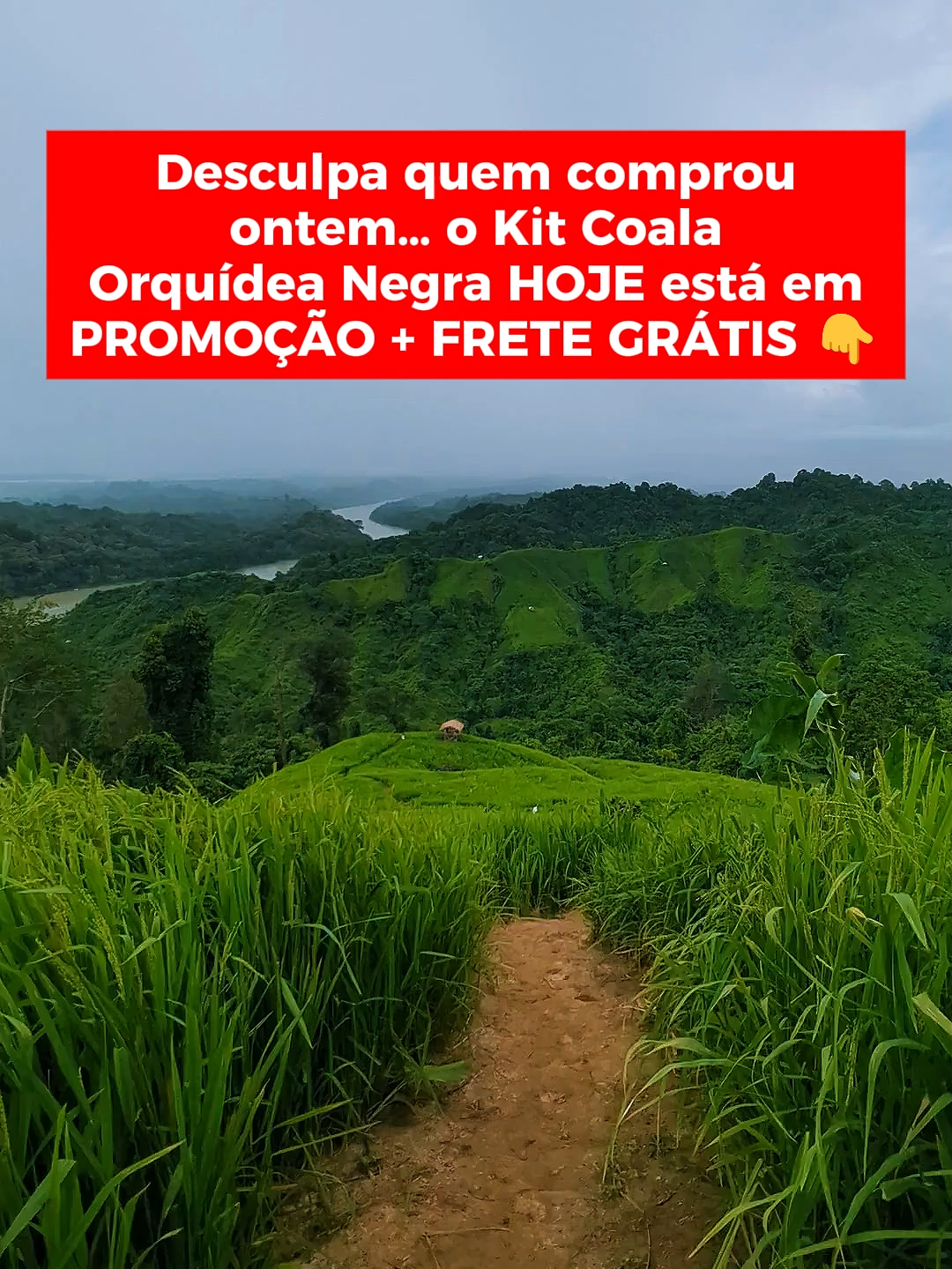 Roupa limpa e perfumada com um toque sofisticado da fragrância Orquídea Negra. Promoção relâmpago mas é só por tempo limitado.#tiktokshop
