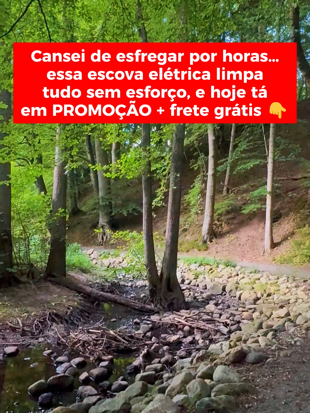 Facilite sua rotina com uma escova potente que elimina sujeiras difíceis sem esforço. Promoção relâmpago mas é só por tempo limitado.