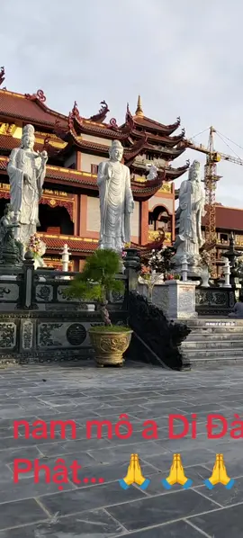 chúc đêm an lành... 🙏🙏🙏