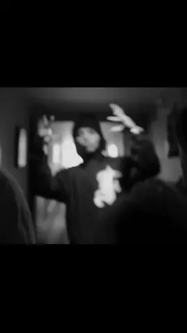Consejo de oro - Cejaz Negraz Crack Family 