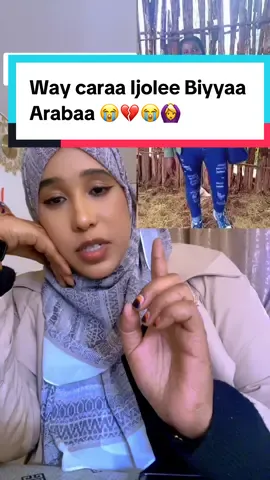 #creatorsearchinsights #CapCut #fyp #oromotiktok #ethiopian_tik_tok🇪🇹🇪🇹🇪🇹🇪🇹 @Meftuha Mamed I 🔟 @Nuriyaa Amme @Aslii Oromia❤️🌳❤️ @Hamza Lenca Islama @hawiioromiya❤💚❤️ 