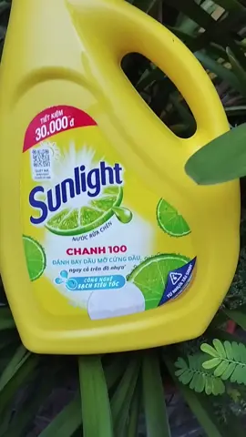 nước rửa chén sunlight  giá tốt chốt ngay nha#xuhuongtienich #xuhuongtienich 