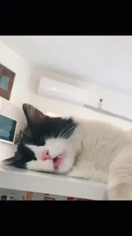 😂😂