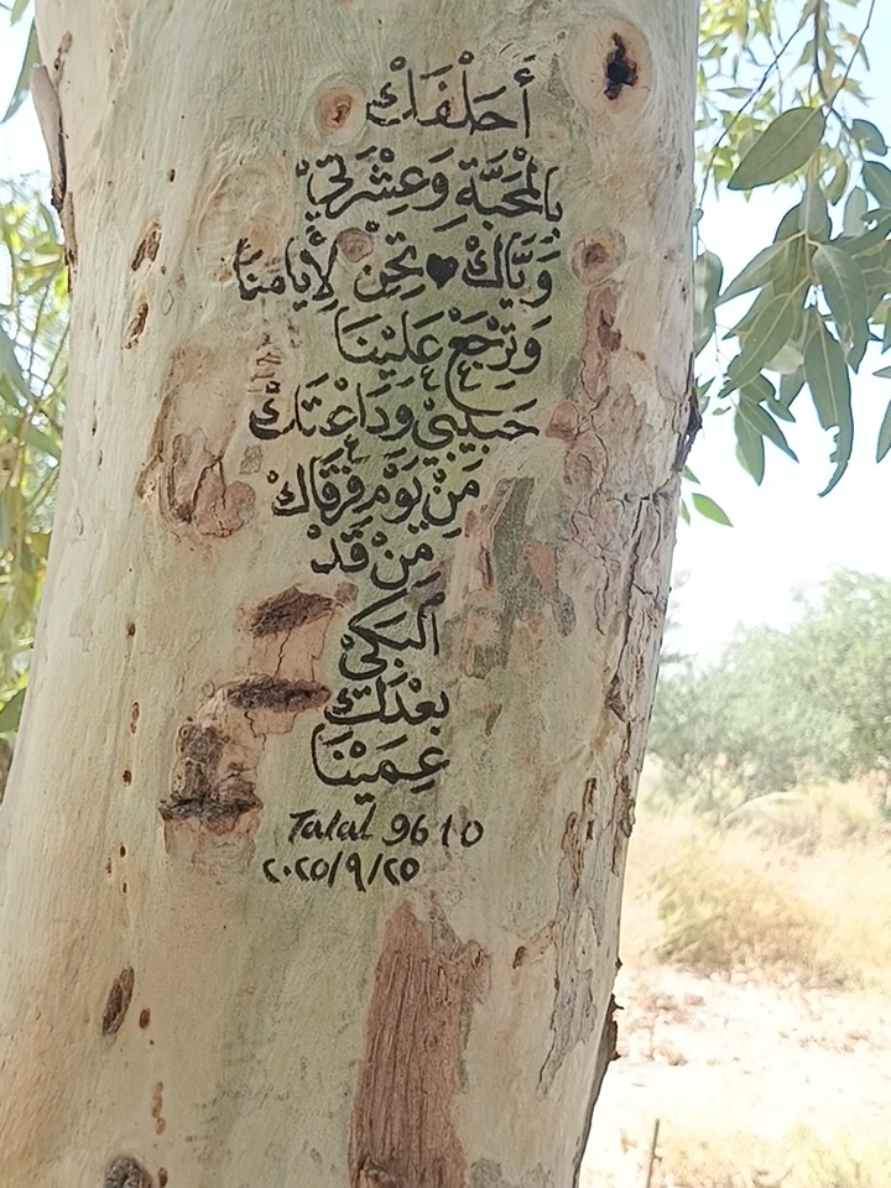 احلفك بالمحبة #محمد_عبدالجبار#تشجير#الخط_العربي#العراق#اغنية 
