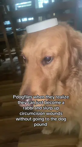 New Goyim Retriever metzitzah b'peh method just dropped