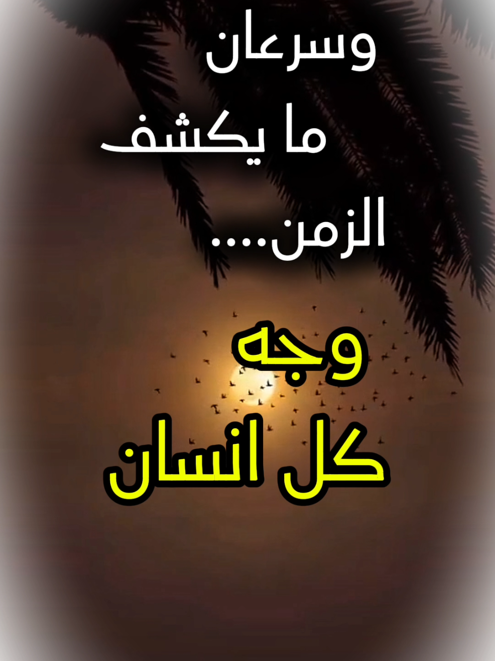 #CapCut #خواطر #اقتباسات #عبارات @꧁❀✰🅔🅛🅨🅐✰❀꧂ @podcast @✍🏻واحد من الناس🕊️ 