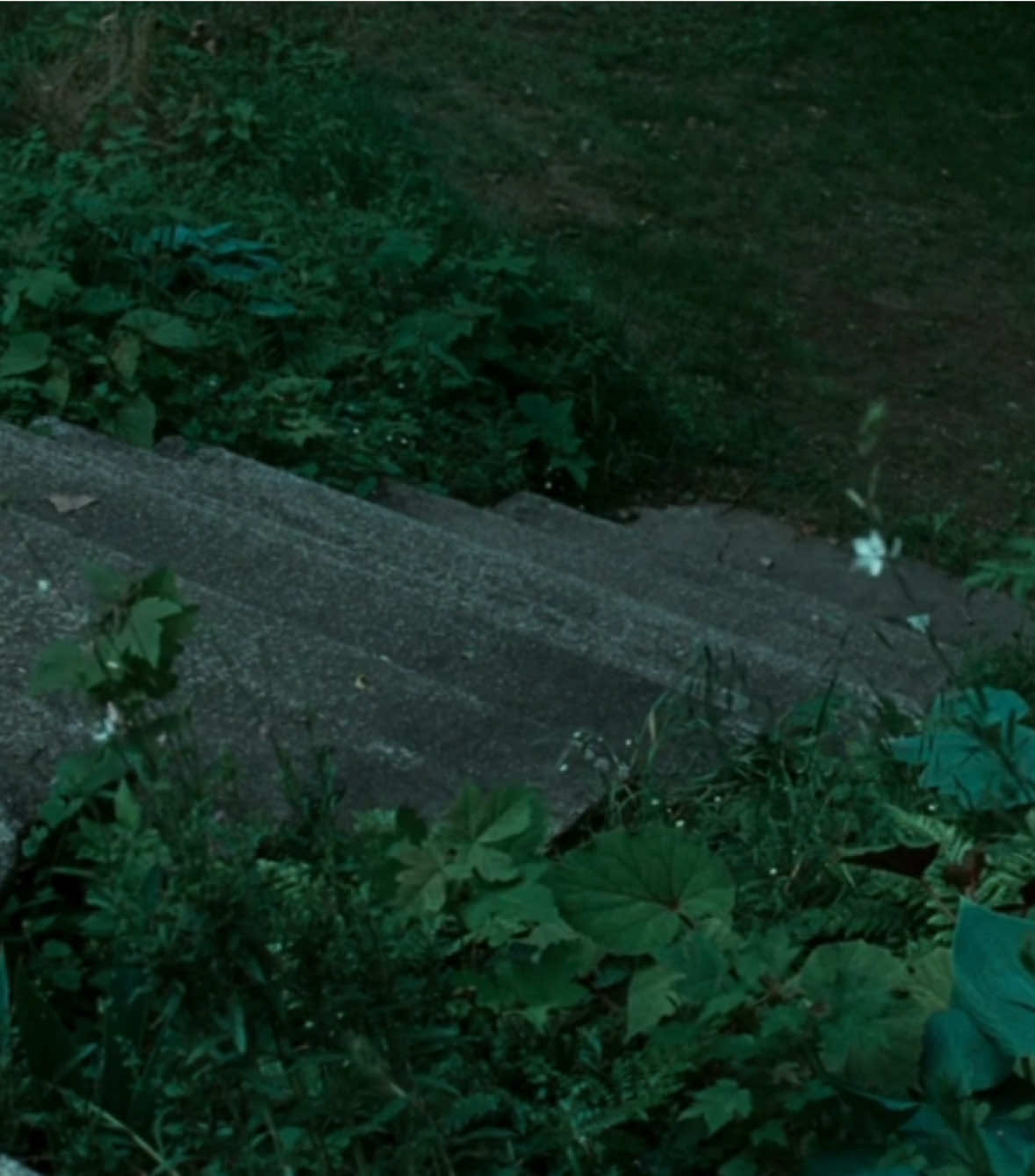 elio                                                                                            #callmebyyourname 
