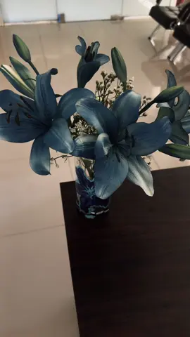 عشاق الليليوم مكانهم هنا  #ليلي #lilies #blue #flowers 