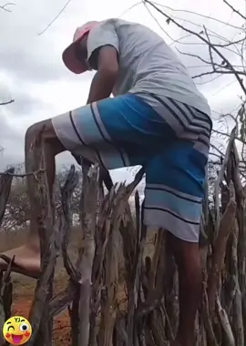 #relaxingvideos #coolvideo #funnyvideos #humour #🤣🤣🤣 