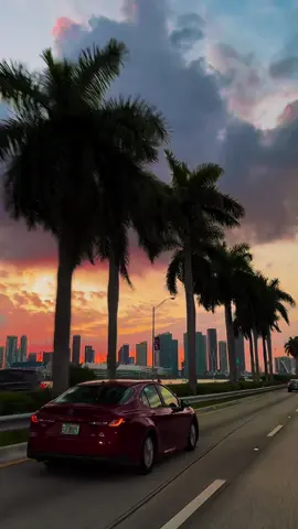 Welcome to Miami 🍸✨🤍 #miami #florida #miamilife #miamivibes #miamilifestyle 