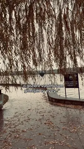 Bir söz bırak ❤️📌 #keşfet #anlamlıvideolar #storylikvideolar📌 #mamistorylik1 #harranovası 