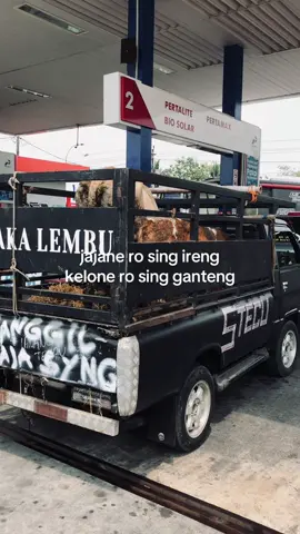 yekkkk #zakalembu                 @shrll @BAGONG125 @Denis_Royalsapi @Arrafihndrsyah @Iwannurali 
