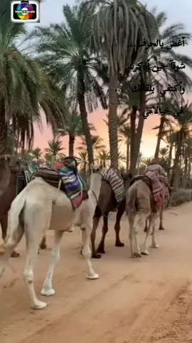 #السعودية #مصر  #قنا_أسيوط_أسوان_سوهاج_الأقصر  #الأمارات_سوريا_فلسطين_العراق_الأردن 