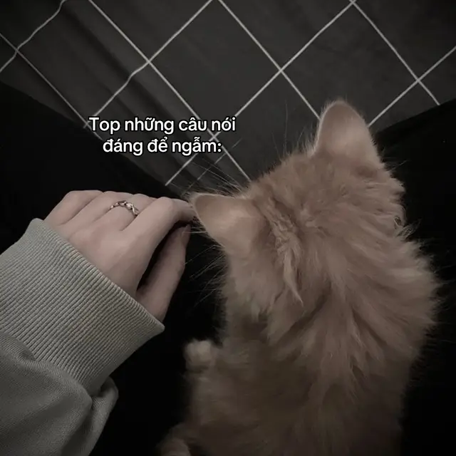#sadstory #tinhyeu #viral #tam_trang_buon #pheoverthinking 