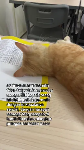 ini bukan meja pak harto, jika sudah duduk jangan lupa berdiri #fy #kucing #kucinglucu 