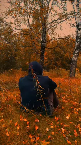 • • • #motivation #nature #foruyou #life #vital_video 
