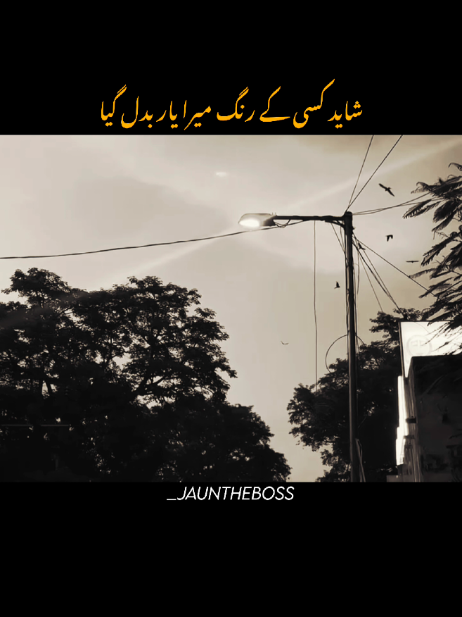 Ke Wo Kaisy Badal Gaya!🫠🥀 #foryou #foryoupagе #fyp #aesthetic #poetry 