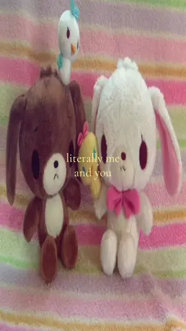 yay #sugarbunnies #us #foryou #xyzabc #ilovemybf 