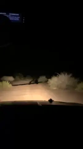 #نجران #اكسبلور 